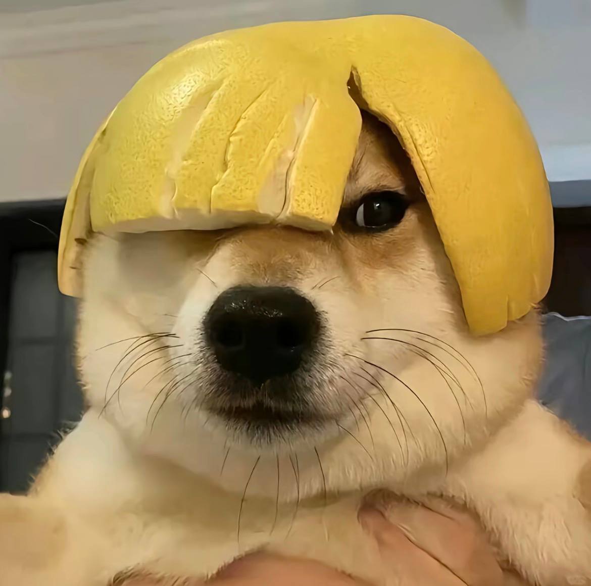 企业员工账号
